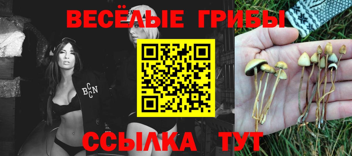 Галлюциногенные грибы Cubensis Серпухов